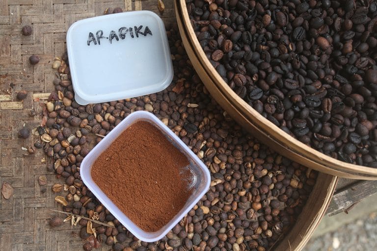 Can You Grind Coffee Beans in a Food Processor? (ANSWERED)