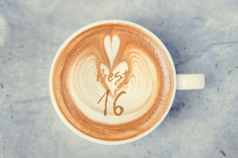 16 Best Hot Drinks at Starbucks Elijah Coffee