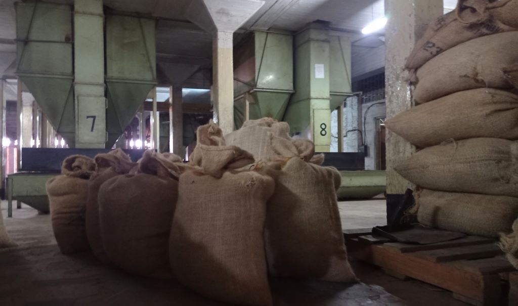 Coffee sacks waiting for auction